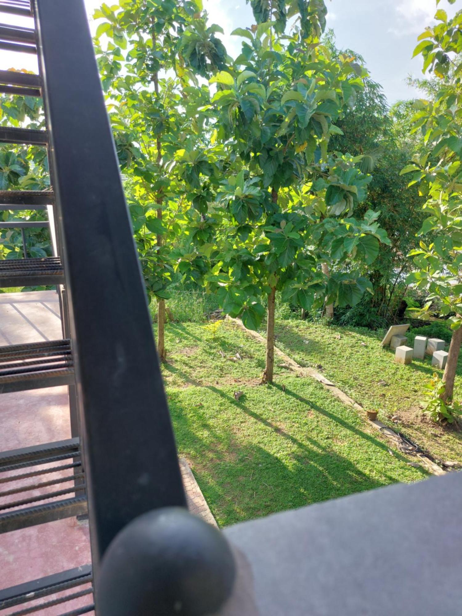 Green Shield Resort Anuradhapura Zewnętrze zdjęcie