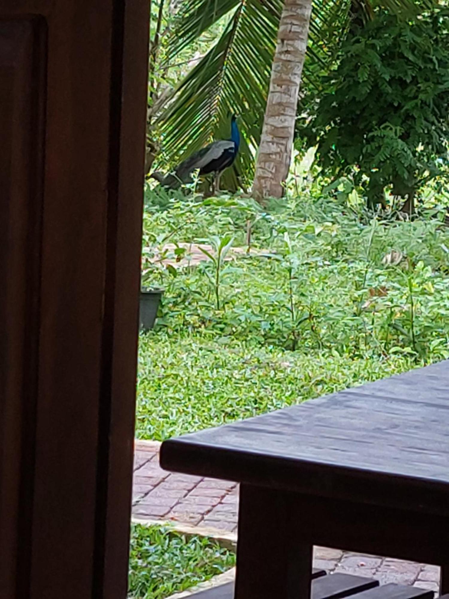 Green Shield Resort Anuradhapura Zewnętrze zdjęcie