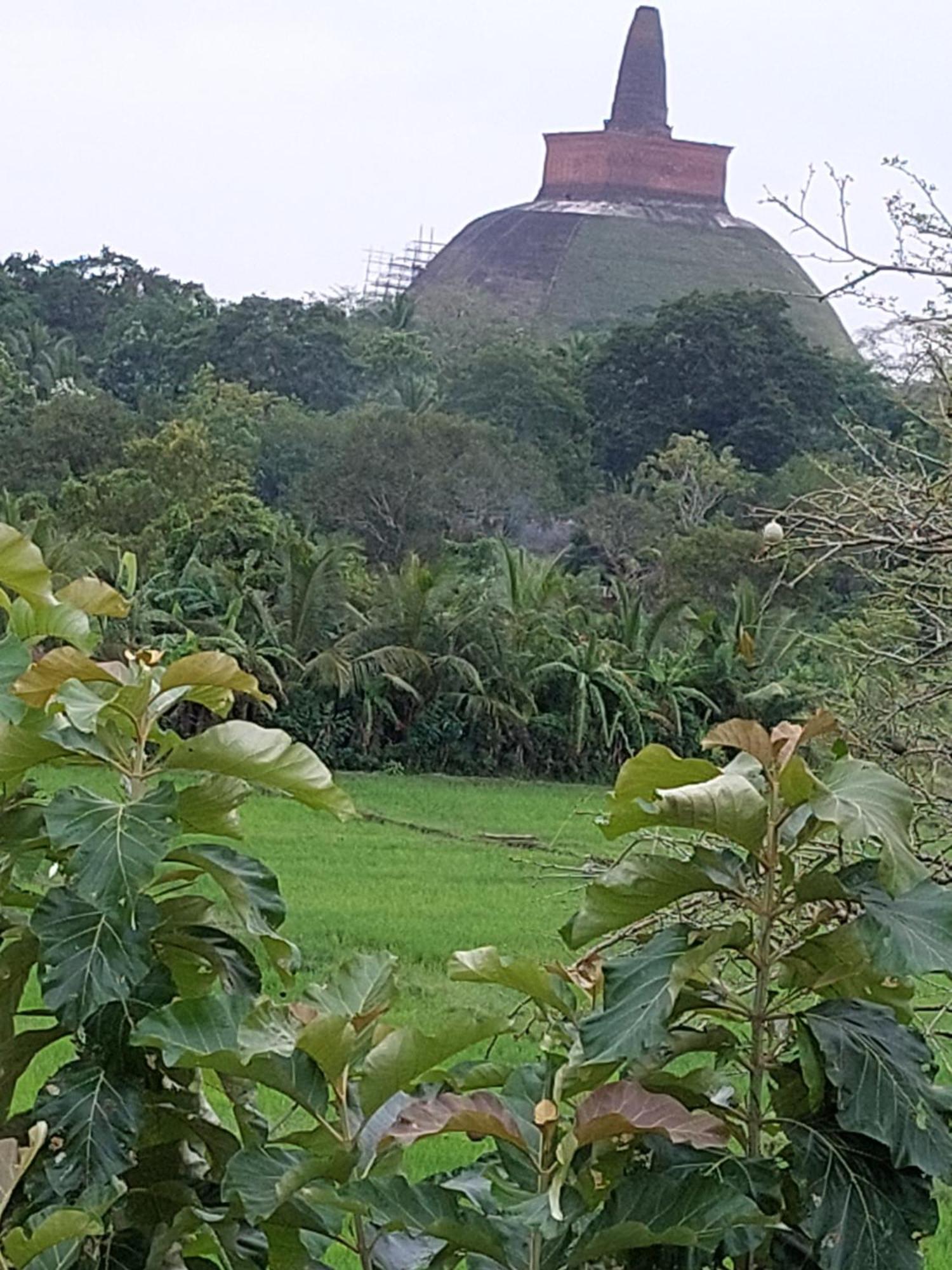 Green Shield Resort Anuradhapura Zewnętrze zdjęcie
