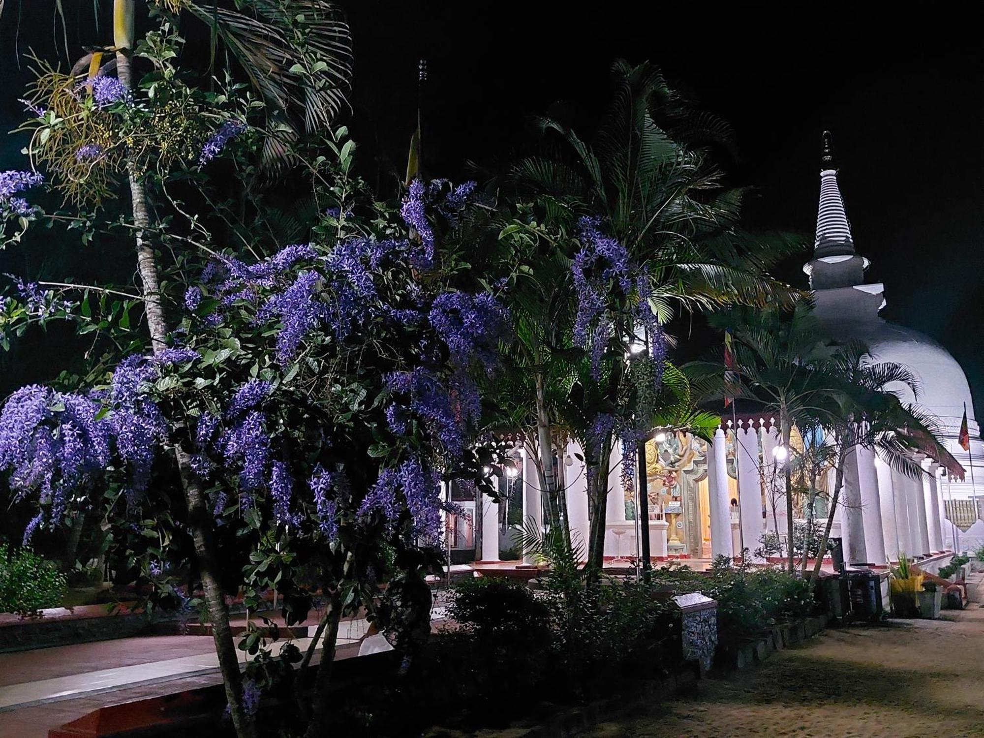 Green Shield Resort Anuradhapura Zewnętrze zdjęcie